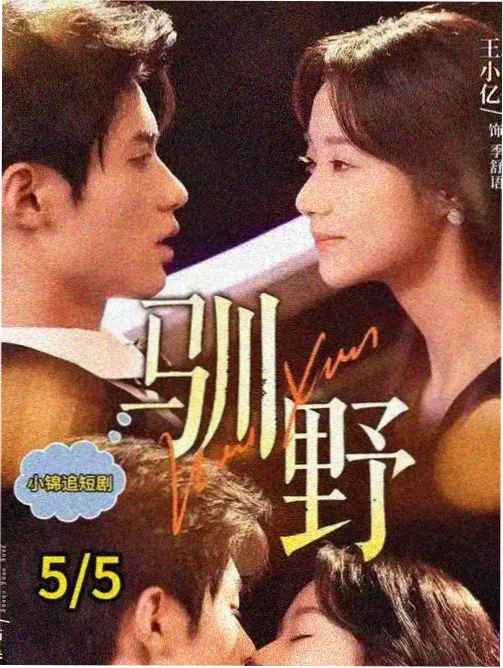 春夜邮局 热播电视剧大全